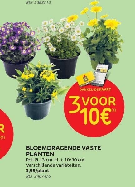 brico planten